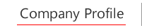 Company Profile(Јē)